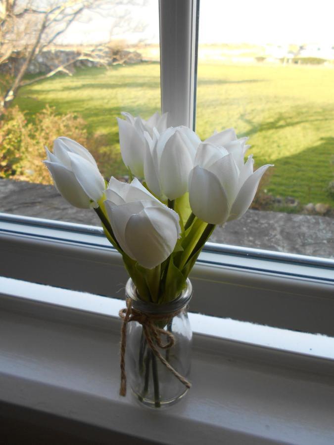 Llanaber Hendre Clochydd Hall المظهر الخارجي الصورة
